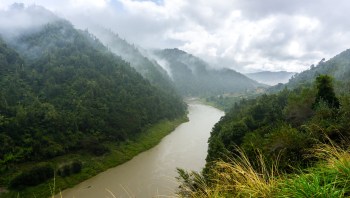 Authorities in New Zealand are working quickly to protect the Whanganui River after the destructive freshwater gold clam was confirmed in the Taranaki region.
