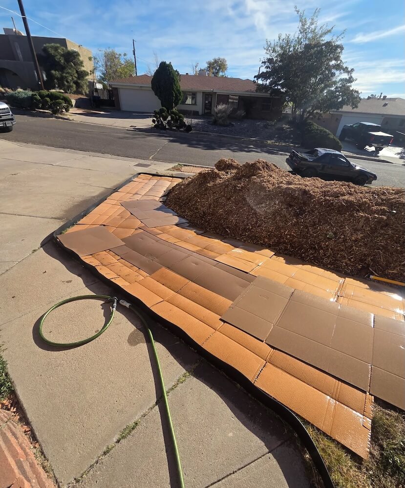 One Redditor shared how they used sheet mulching to get rid of their traditional front lawn and make space for native plants.