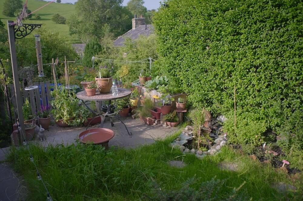 When one Redditor shared how they transformed their lifeless yard, the Reddit community responded with tons of tips and compliments.