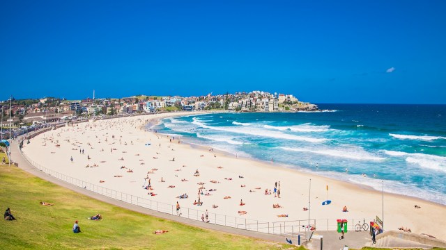 When a surprisingly friendly grey nurse shark showed up near the shores of Bondi Beach in Australia, locals crowded to get a closer view.