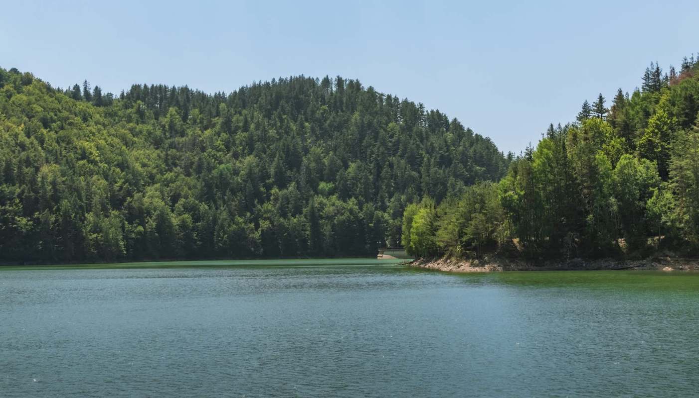 An international collaboration helped restore critical forest habitats in Albania and North Macedonia, with a focus on nature-based solutions.
