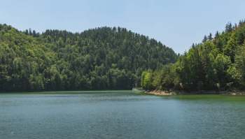 An international collaboration helped restore critical forest habitats in Albania and North Macedonia, with a focus on nature-based solutions.