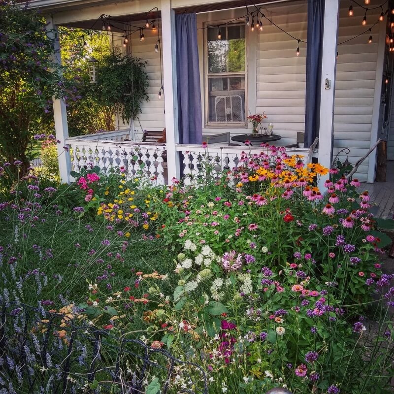 One Reddit user shared photos of their beautiful garden in celebration of pollinator season.