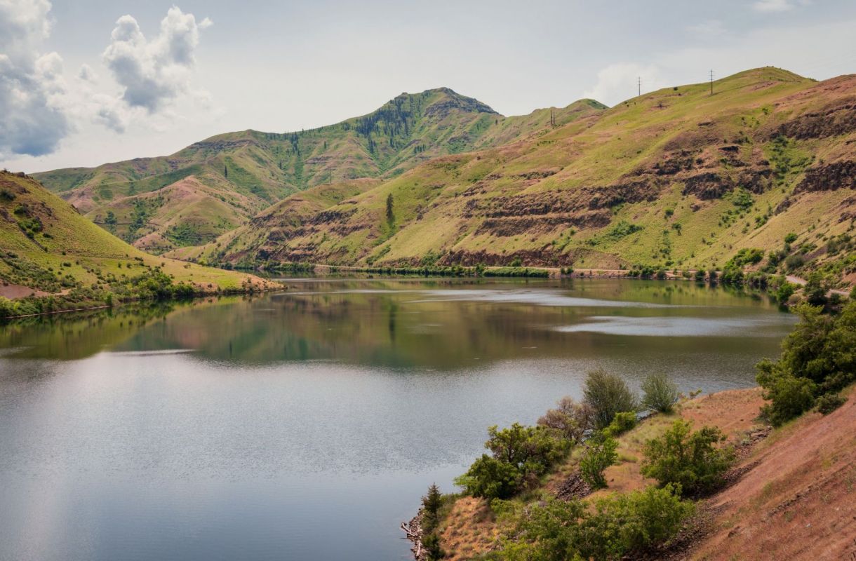 The Nez Perce Tribe has partnered with the Colossal Foundation to bring California condors back to their traditional homeland along the Idaho-Oregon border.