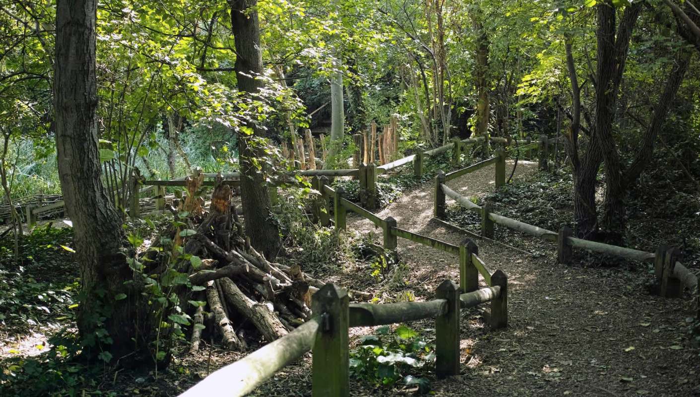 A video showing what appears to be a "hiking rave" on a wilderness trail caused eye-rolling and concern on Instagram.