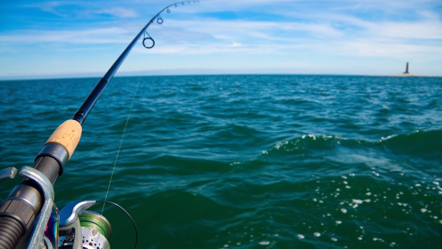 Bangladesh implemented an expansive ban on catching hilsa fish to protect the beloved species, with some harsh penalties.