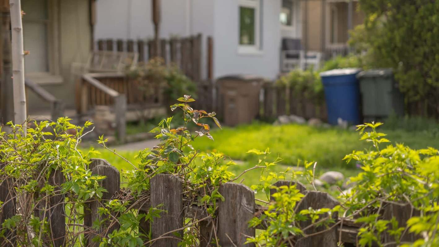 One Redditor shared an unbelievable story about their hoarder neighbor's shocking situation escalating in their backyard.