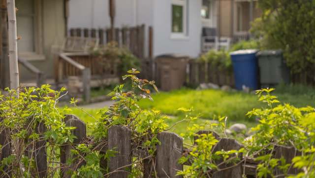 One Redditor shared an unbelievable story about their hoarder neighbor's shocking situation escalating in their backyard.