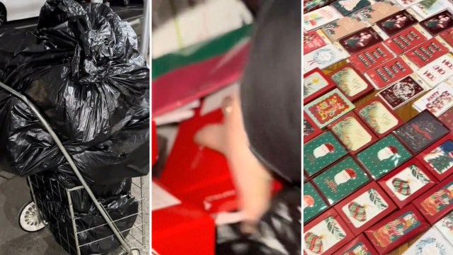 Anna Sacks, an environmental activist, took to TikTok to vent about holiday waste after finding a bunch of discarded Christmas items.