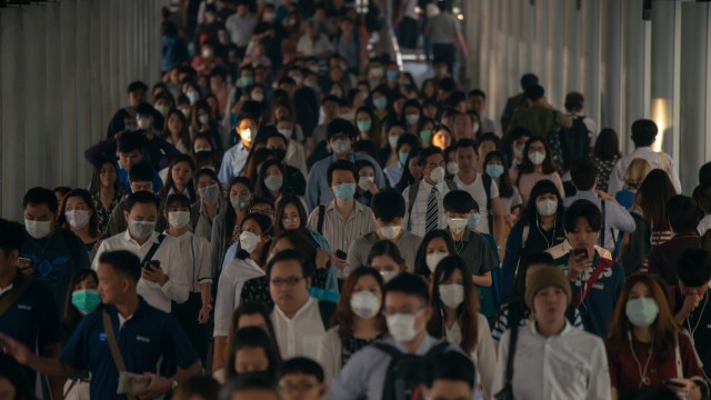 Scientists at the University of Granada received a special permit to observe the Bonelli's eagle in its natural habitat during lockdowns.