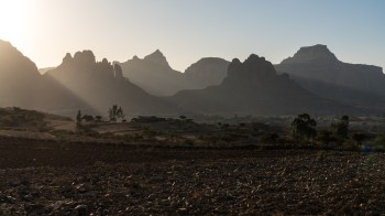 Prosopis, an invasive tree, has been wreaking havoc on Ethiopian communities for decades.