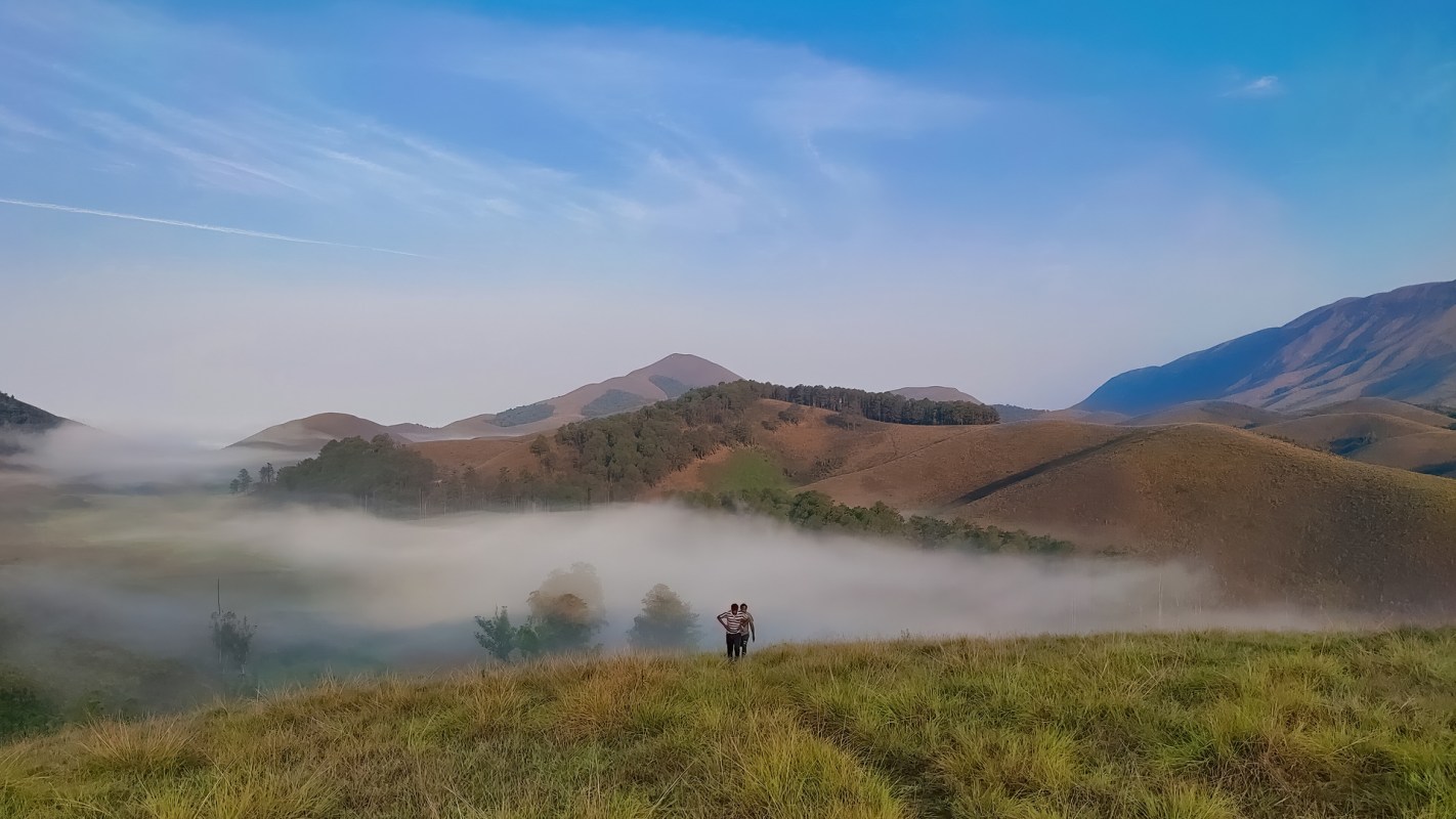 Scientists with the Zoological Survey of India identified a brand-new gecko species that measures only 33.7 millimeters long.