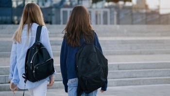 Belgium's first-ever drug commissioner revealed that 80% of illegal refill capsules seized in Belgium contain opioids.