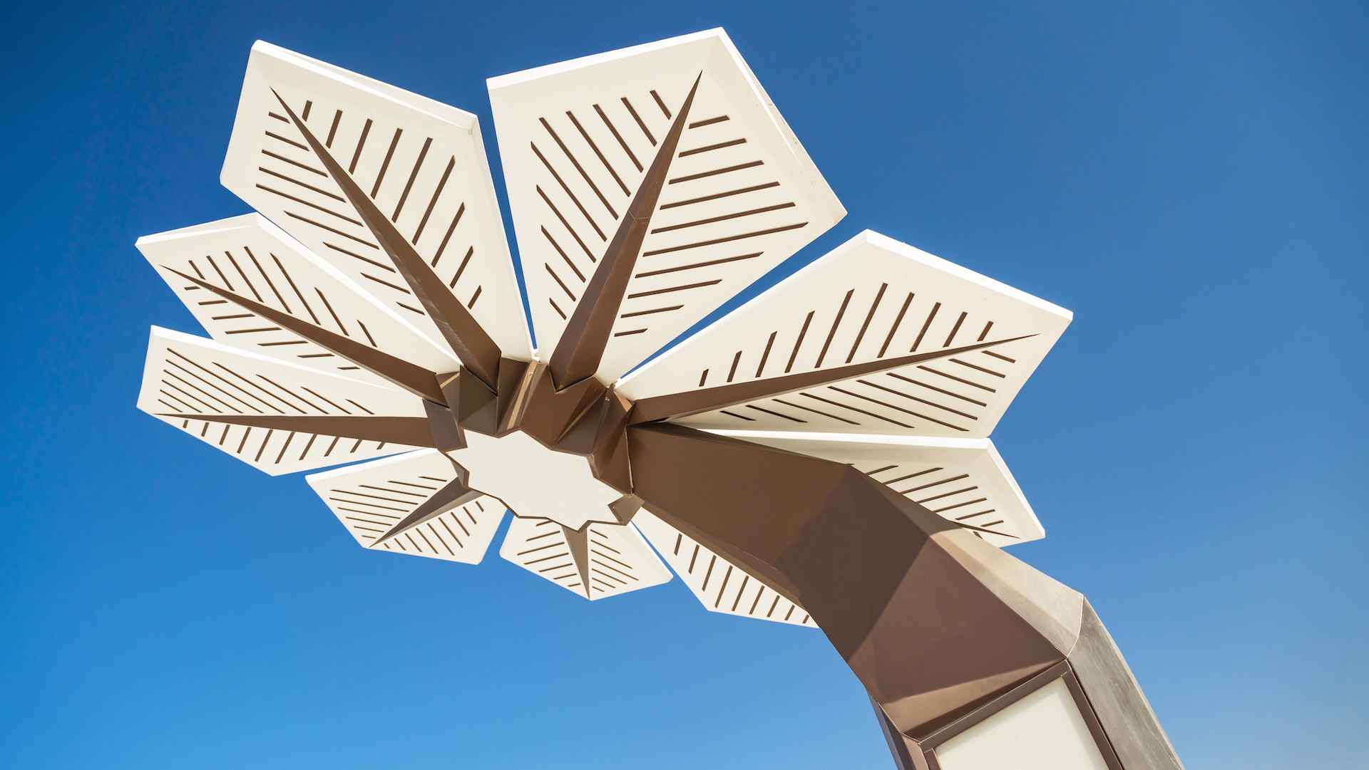 Major US city praises groundbreaking 'flowers' that provide power for residents: 'As if you were the scale of a small insect'