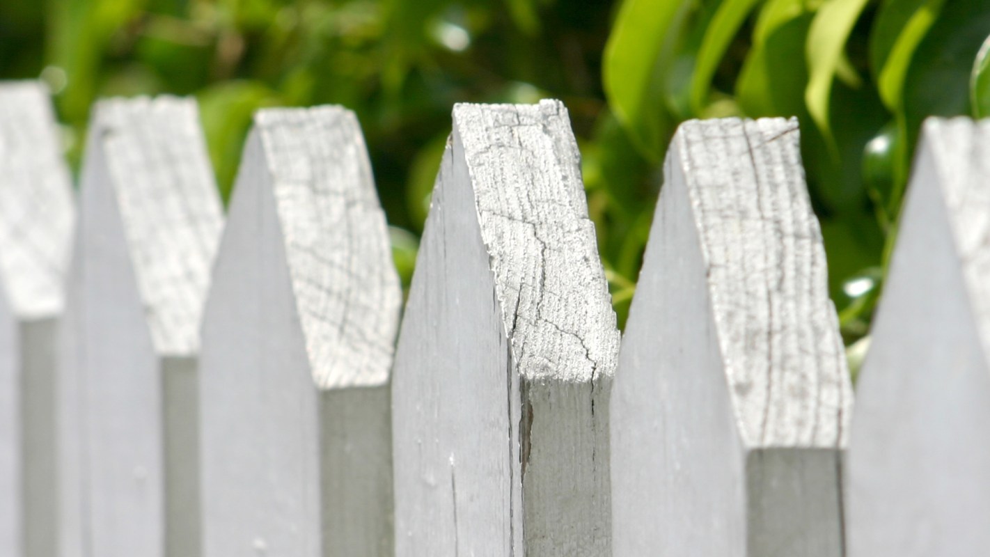 One Redditor shared a story about how their neighbor hired a fencing company that trespassed and cut down their mulberry and peach trees without permission.