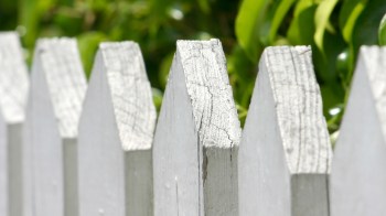 One Redditor shared a story about how their neighbor hired a fencing company that trespassed and cut down their mulberry and peach trees without permission.