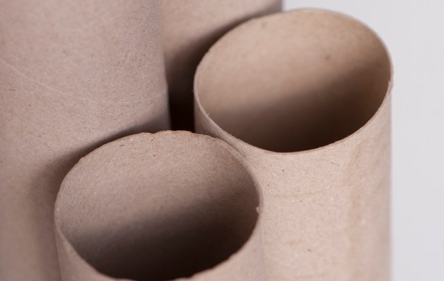 One TikTok user shared an ingenious method of repurposing toilet paper tubes to help sweet pea seedlings develop their roots.