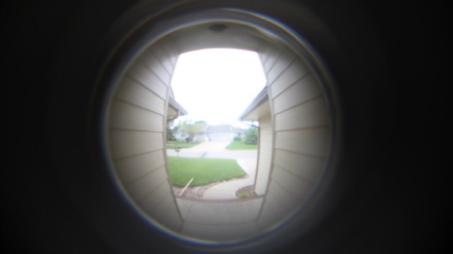 A startling video showed two mountain lions having a tense encounter at a suburban California home.