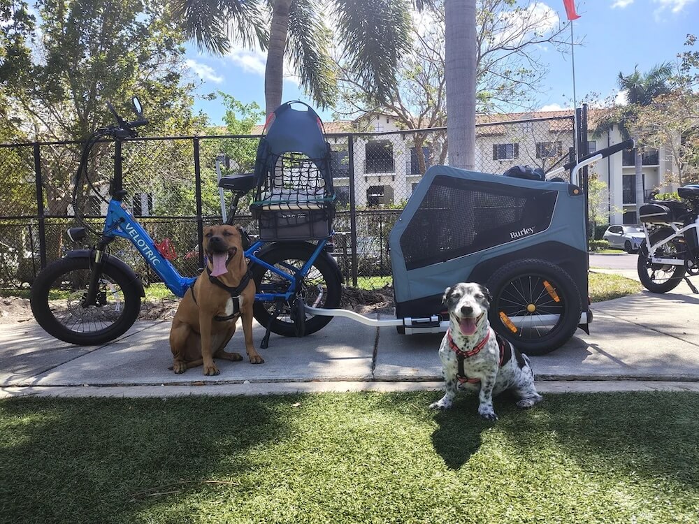 One Redditor explained how an e-bike pet trailer helped them safely take their beloved dogs on enriching outdoor adventures.