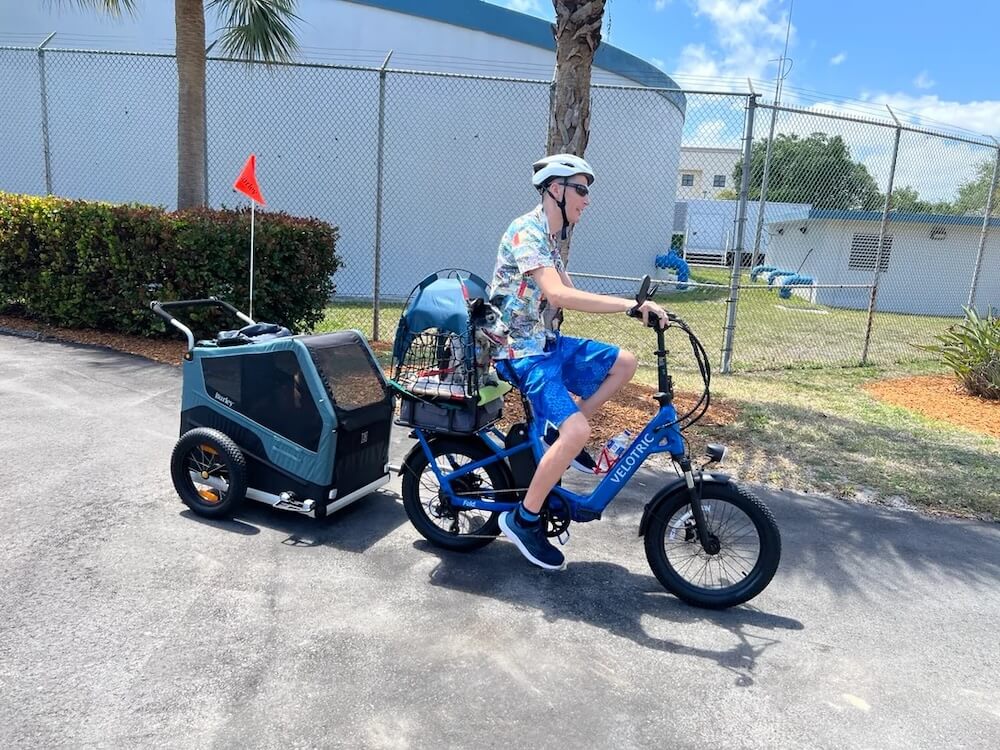 One Redditor explained how an e-bike pet trailer helped them safely take their beloved dogs on enriching outdoor adventures.