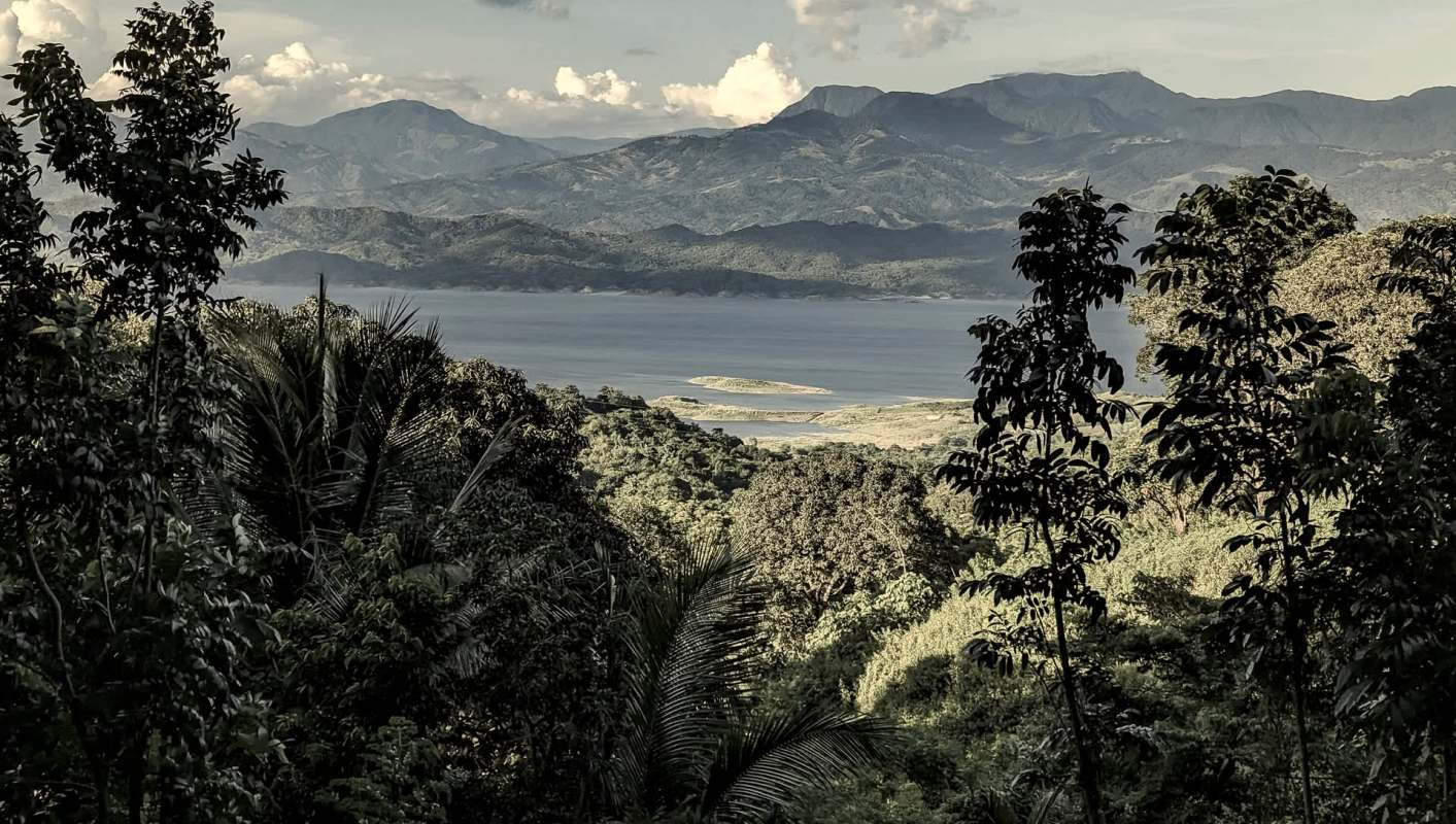 An individual was arrested in the Philippines for illegally gathering forest products to sell them.