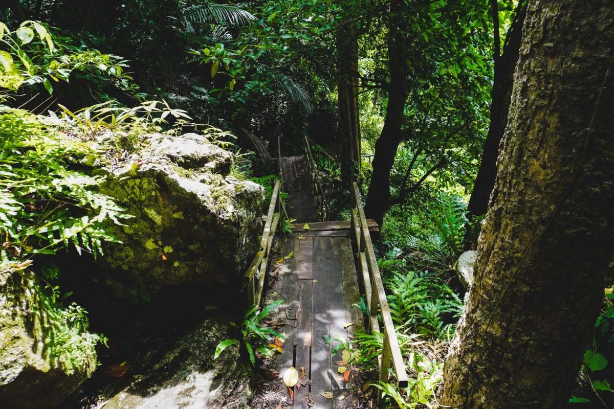Thai authorities uncovered a major illegal gold-mining operation inside Thong Pha Phum National Park after hidden cameras captured a late-night group of armed intruders entering a protected forest.