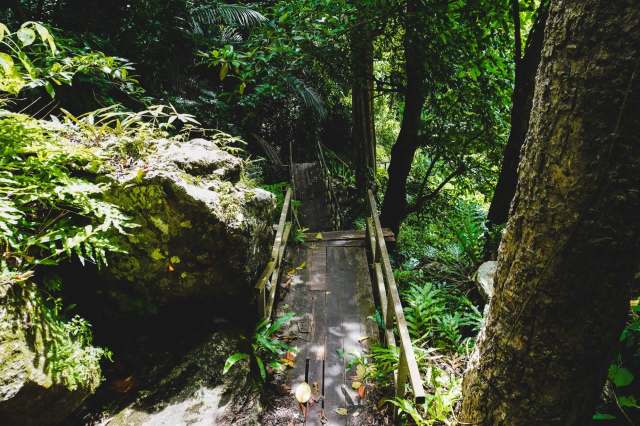 Thai authorities uncovered a major illegal gold-mining operation inside Thong Pha Phum National Park after hidden cameras captured a late-night group of armed intruders entering a protected forest.