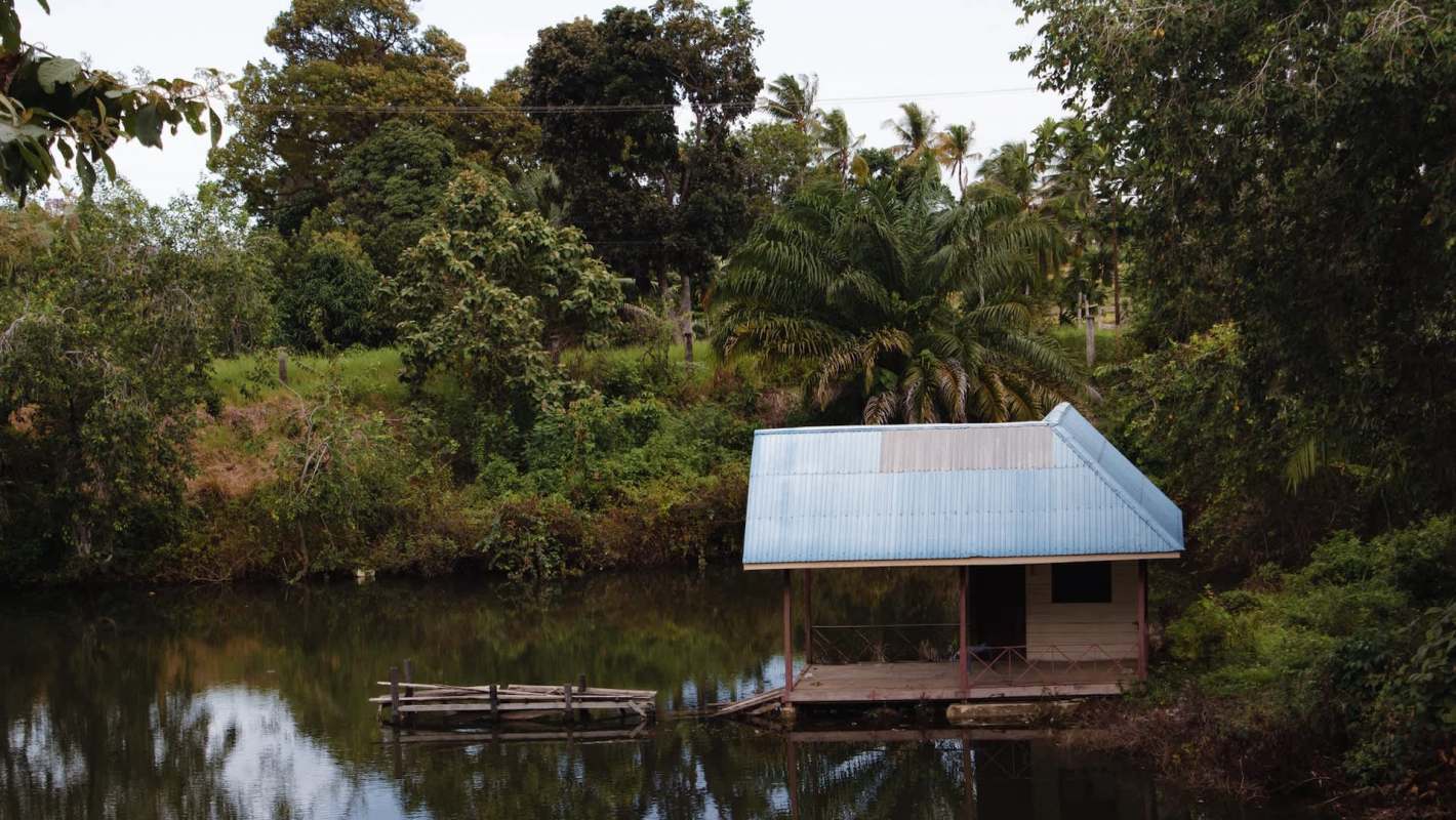 A joint task force cracked down on illegal palm oil plantations in Indonesia after farmers expressed fears the plantations would degrade forest ecosystems.