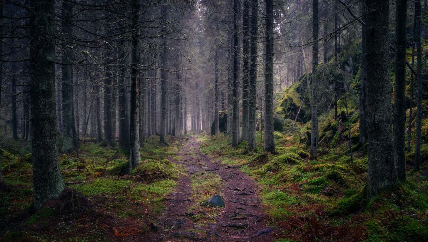 Authorities held an Australian man accountable for illegal tire dumping near the Pimpama bushlands by fining him over $3,970.