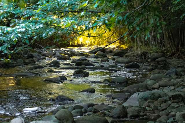 New research has uncovered the concerning truth about the invisible chemical plume created by the breakdown of microplastics.