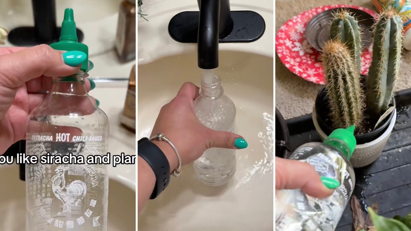 One TikToker shared a clever way to reuse a plastic sriracha bottle as a gardening tool.
