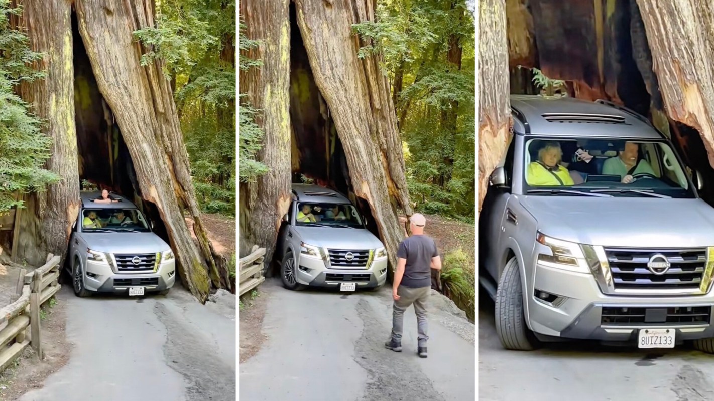 A TikTok user shared video of a driver who had managed to get stuck while driving along the Avenue of the Giants in Humboldt County, California.