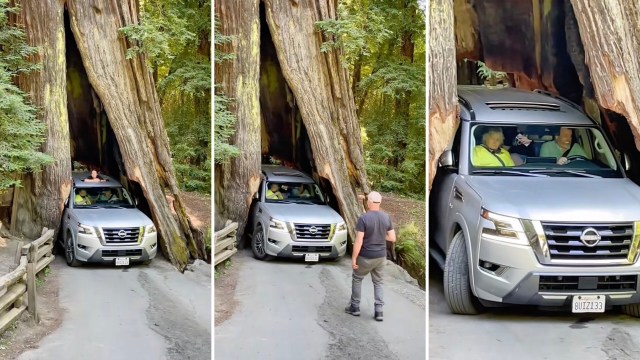 A TikTok user shared video of a driver who had managed to get stuck while driving along the Avenue of the Giants in Humboldt County, California.
