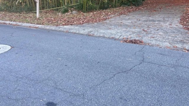 Some species of bamboo can be a real pain for gardeners. This Reddit thread shows an out-of-control invasive bamboo forest in someone's front yard.