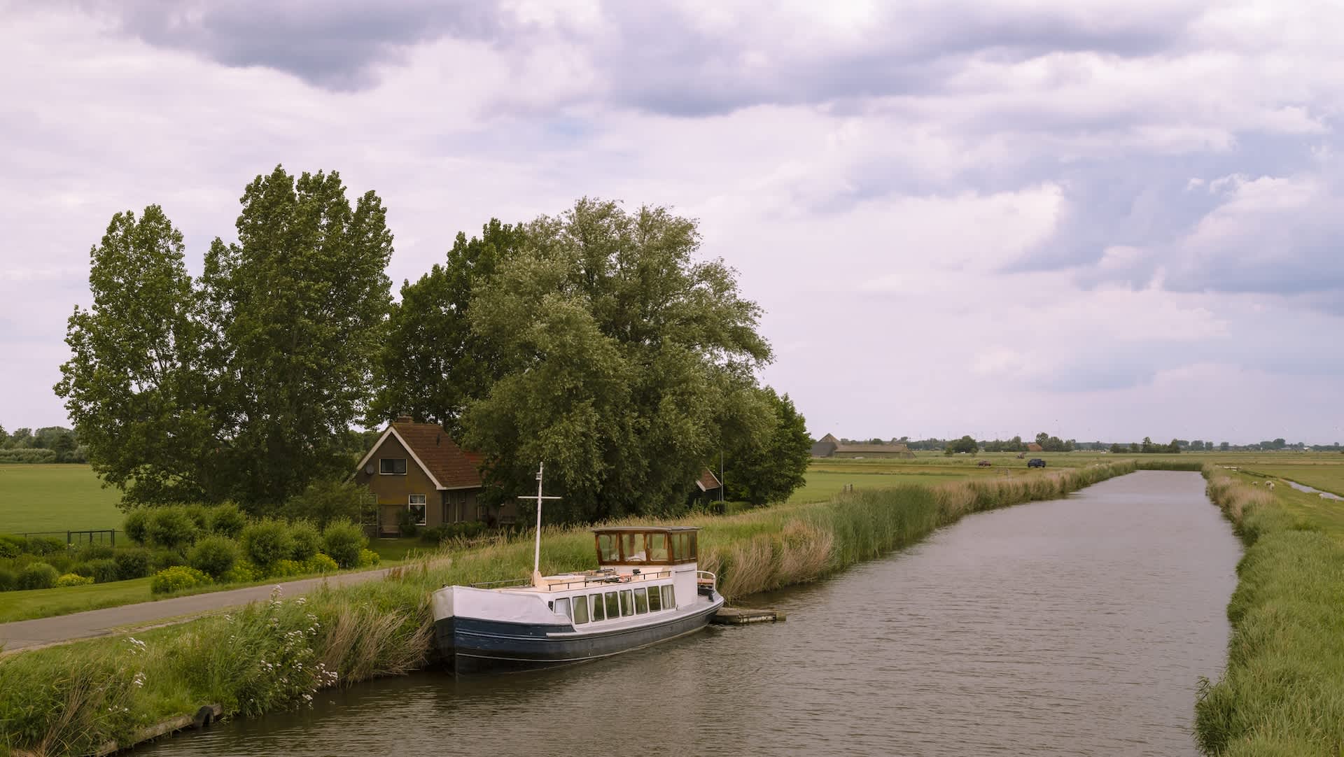 Government issues mind-boggling response to 'plague' of invasive pests: '[They] reproduce very rapidly and are always hungry'