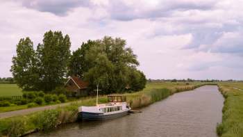 The Biosecurity Authority of Fiji confirmed the presence of Bactrocera facialis, also known as the Tongan fruit fly, on four separate islands.