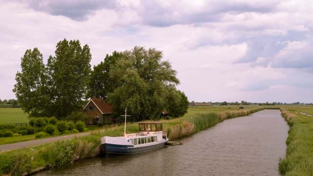 The Biosecurity Authority of Fiji confirmed the presence of Bactrocera facialis, also known as the Tongan fruit fly, on four separate islands.