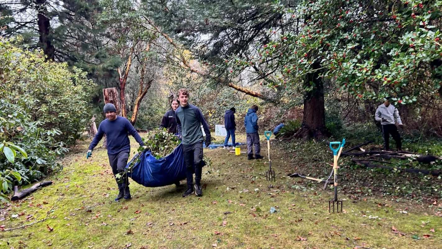This November, more than 40 volunteers came together to remove invasive ivy from a trail near the University of Victoria in British Columbia, Canada.