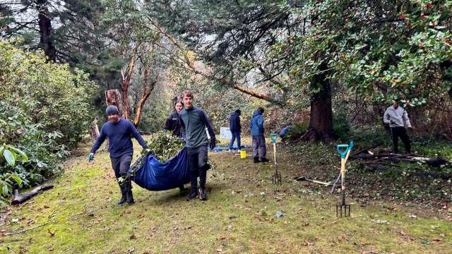 This November, more than 40 volunteers came together to remove invasive ivy from a trail near the University of Victoria in British Columbia, Canada.