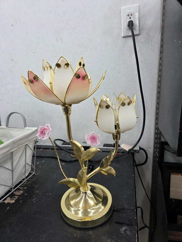 One thrift shopper stumbled across a unique flower lamp at Goodwill, but was quickly taken aback by the lamp's steep price of $150.