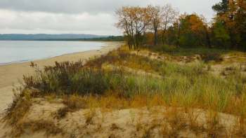Michigan officials are sounding the alarm after a surge in reports of invasive "jumping worms" across the state.