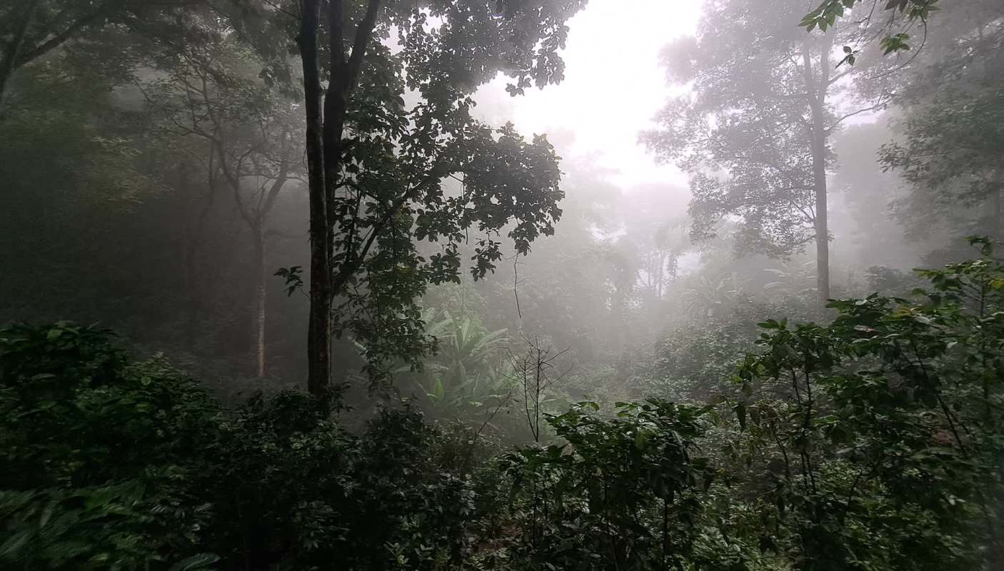 A cruel video of two people harassing a jungle insect is leaving Redditors' speechless and heartbroken.