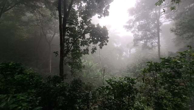 A cruel video of two people harassing a jungle insect is leaving Redditors' speechless and heartbroken.