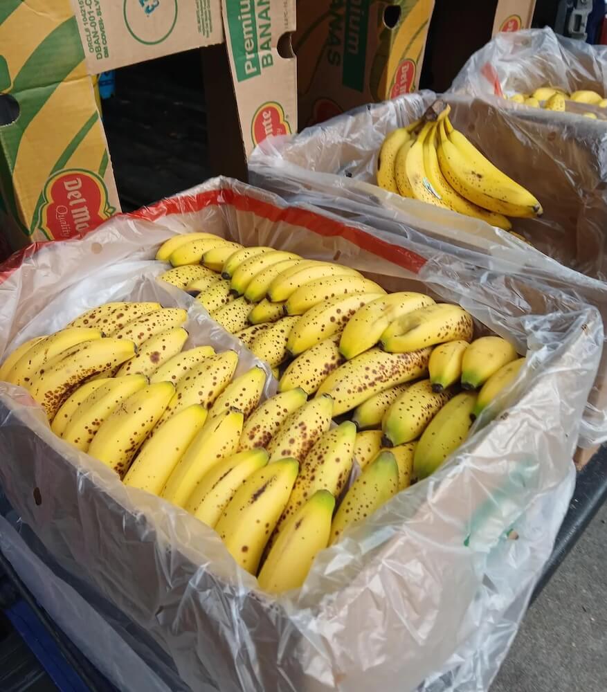 One lucky dumpster diver scored a shocking surplus of ripe bananas — and made sure they didn't go to waste.