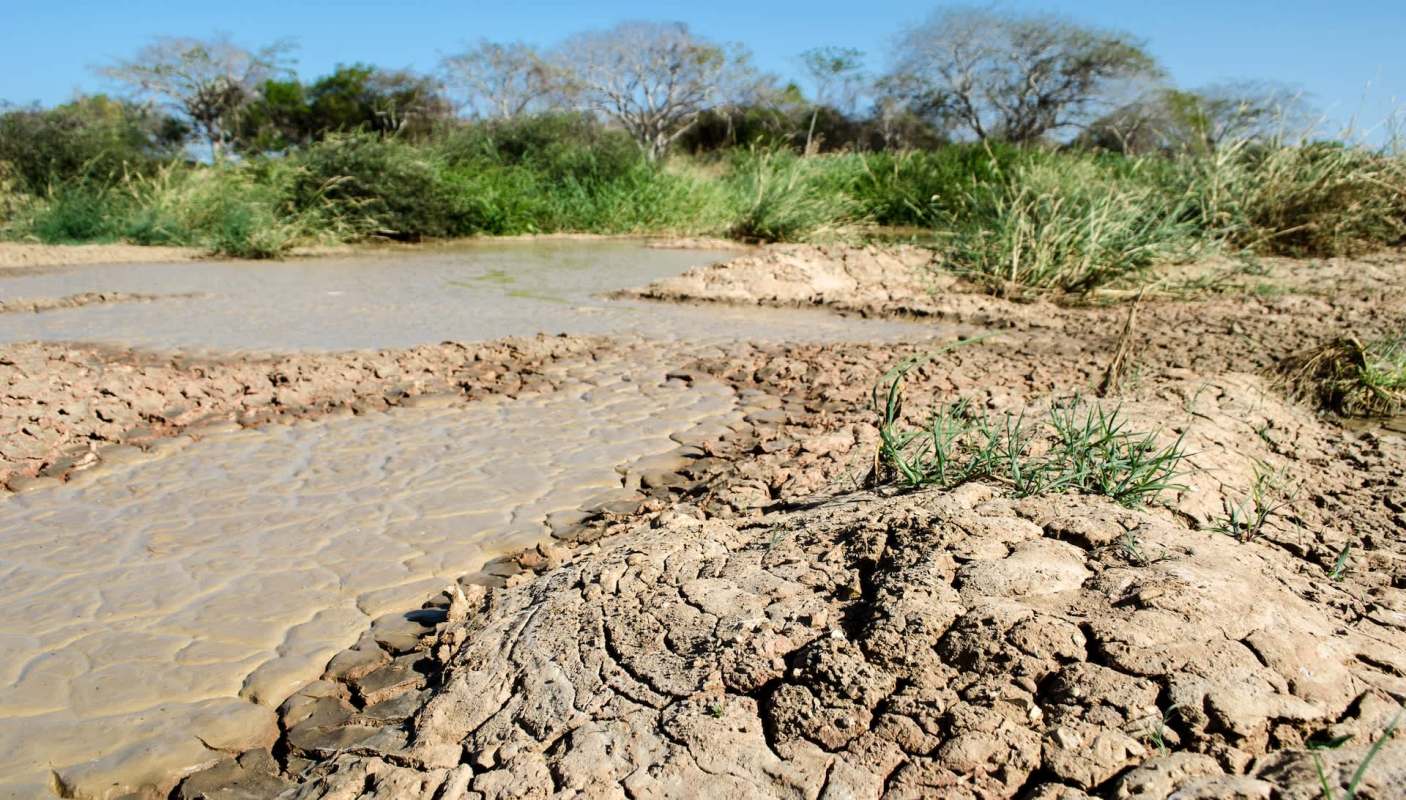 A new FAO report found that land degradation, a long-term decline in the health of the land, impacts more than 1.7 billion people globally.