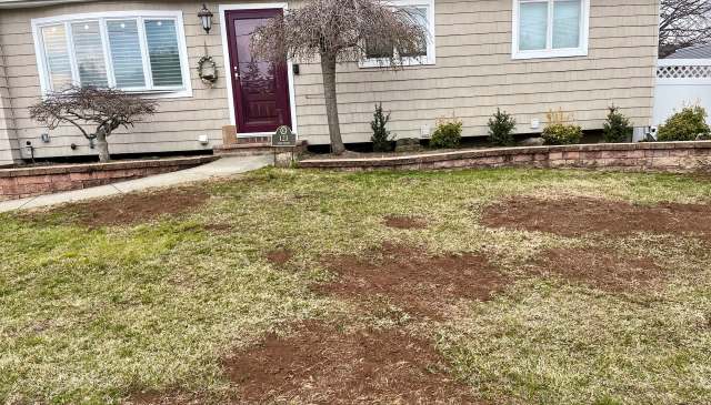 One frustrated homeowner sparked a Reddit thread after discovering just how much landscape fabric was hidden throughout their property.