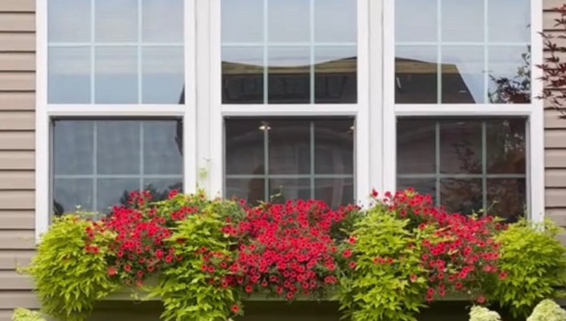 This TikTok video shows how different a yard can look when moving away from high-maintenance grass, plus the benefits of lawn alternatives.