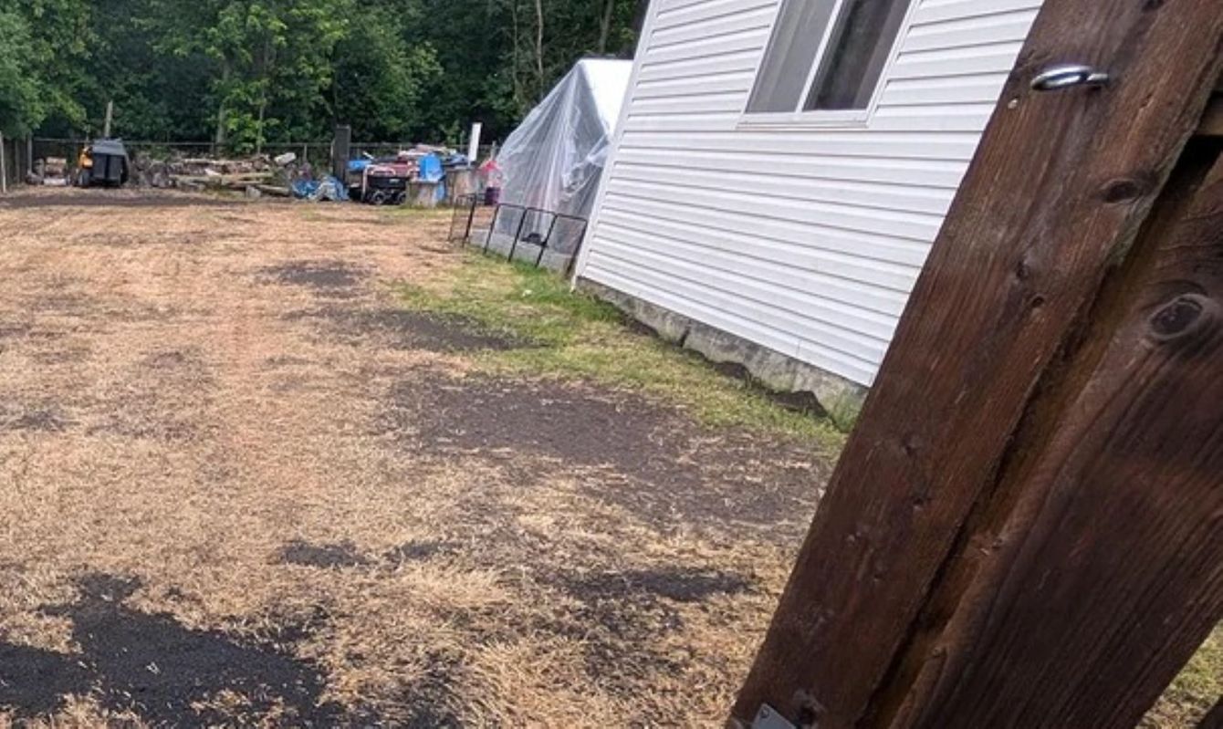 A Reddit post is raising eyebrows after a homeowner shared photos showing the sad remains of their lawn after using an unidentified old weed killer.