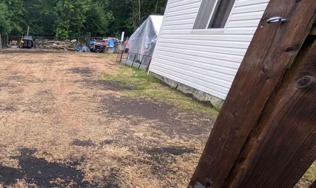 A Reddit post is raising eyebrows after a homeowner shared photos showing the sad remains of their lawn after using an unidentified old weed killer.