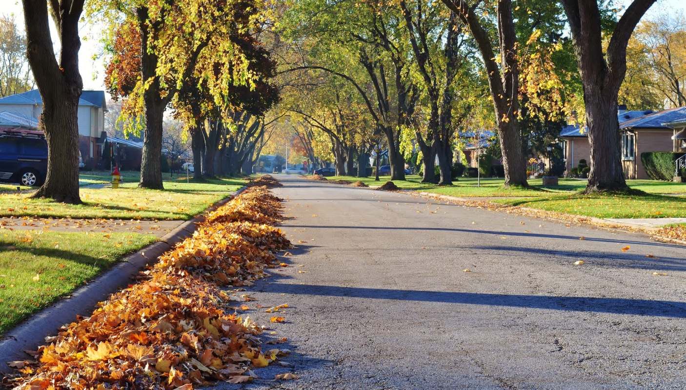 A Reddit post is showing a high-end leather chair sitting on a curb, and people are wondering why anyone would throw it away.